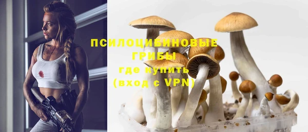 бутират Вяземский