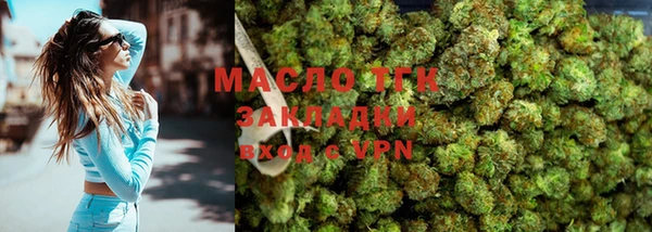 ГАЛЛЮЦИНОГЕННЫЕ ГРИБЫ Вязники