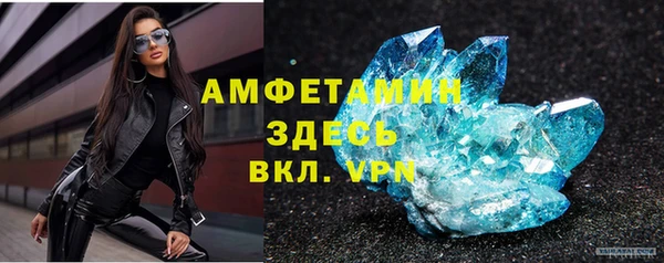 ГАЛЛЮЦИНОГЕННЫЕ ГРИБЫ Вязники