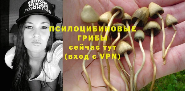 ГАЛЛЮЦИНОГЕННЫЕ ГРИБЫ Вязники