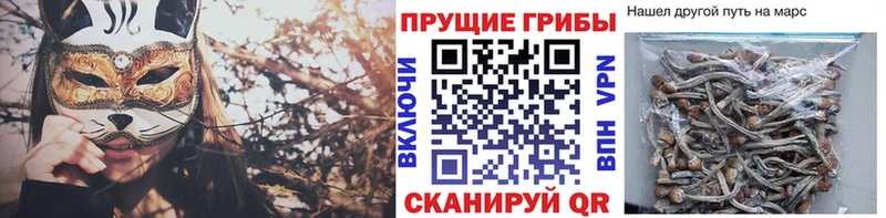 Псилоцибиновые грибы MAGIC MUSHROOMS  где купить наркоту  Николаевск-на-Амуре 